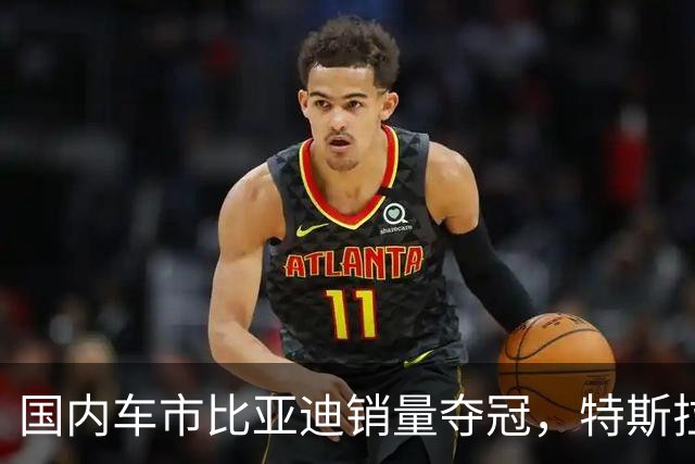 国内车市比亚迪销量夺冠，特斯拉单品销售领先，零跑与小米崭露头角